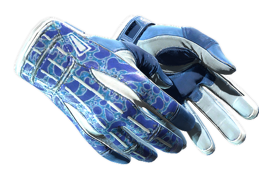 ★ Sport Gloves | Amphibious (Factory New)
