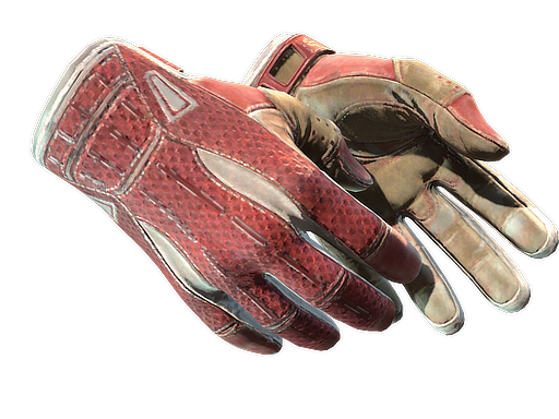 ★ Sport Gloves | Slingshot (Field-Tested)