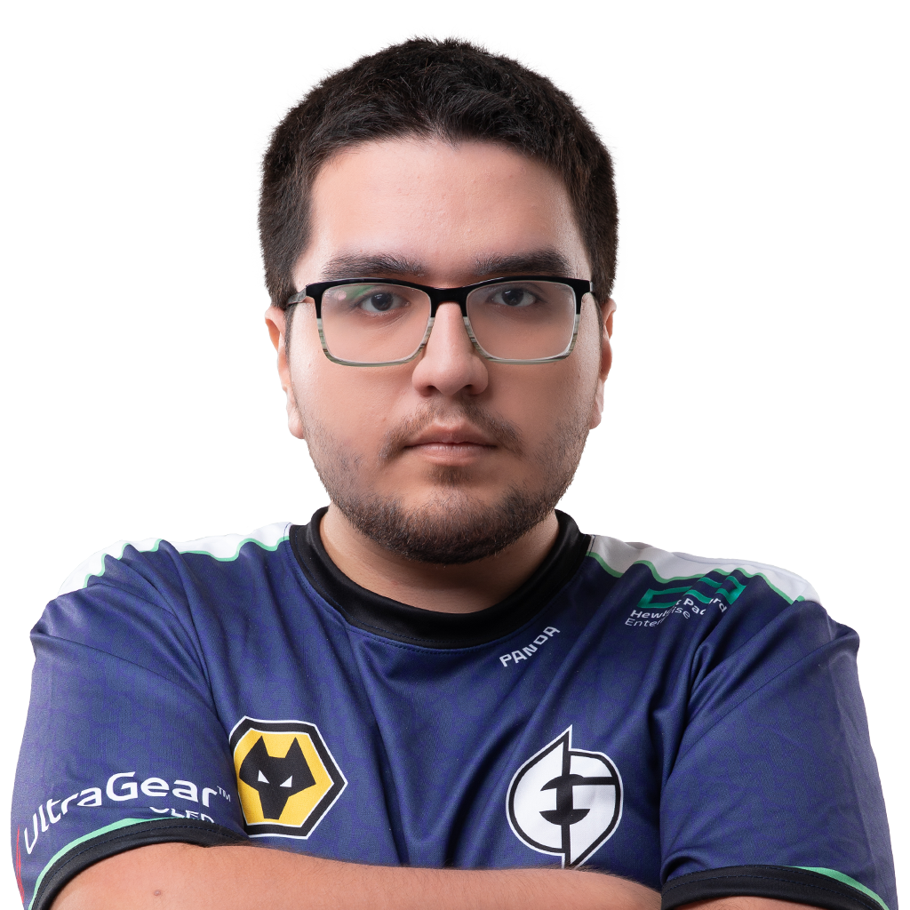 Panda Player Sticker - TI 2023