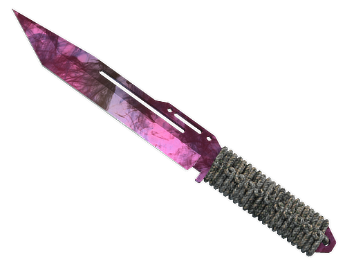 ★ StatTrak™ Paracord Knife | Doppler (Factory New)