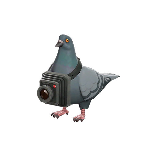 Bird's Eye Viewer