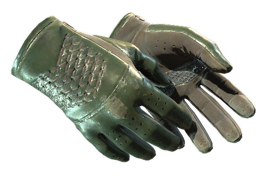 ★ Driver Gloves | Racing Green (Well-Worn)