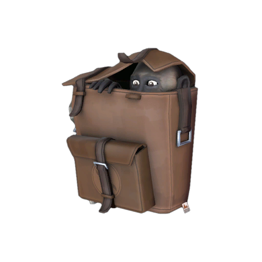 Strange Joe-on-the-Go