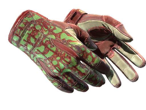 ★ Sport Gloves | Bronze Morph (Well-Worn)