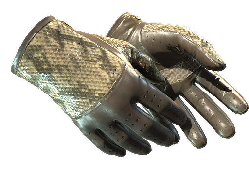 ★ Driver Gloves | Diamondback (Field-Tested)