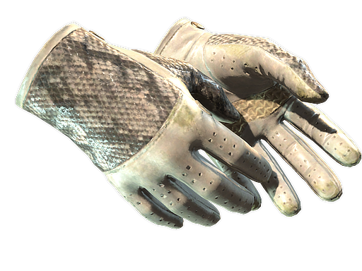★ Driver Gloves | King Snake (Well-Worn)